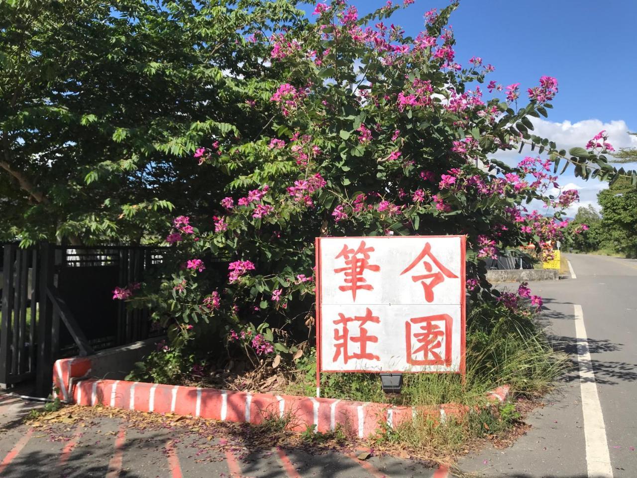 Billingmanor Apartment Taitung Exterior photo